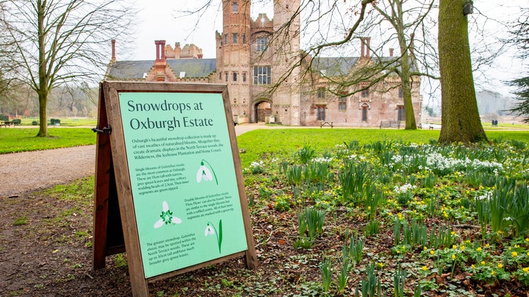 A wooden a frame board featuring details of the snowdrops at Oxburgh Estate. The gatehouse is visible in the background.